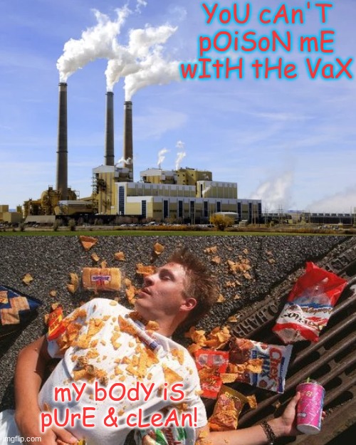 DO be concerned about what goes into your body. Don't focus on one shot. | YoU cAn'T pOiSoN mE wItH tHe VaX; mY bOdY iS pUrE & cLeAn! | image tagged in blank,vaccine,coal,pollution,food,junk food | made w/ Imgflip meme maker