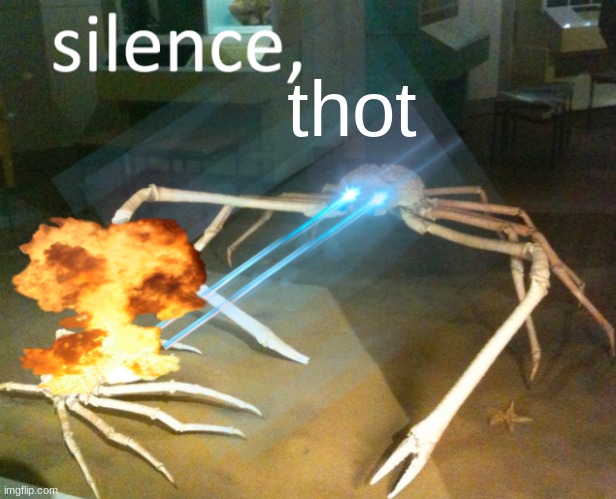 what to do when a girl talks over you | thot | image tagged in silence crab | made w/ Imgflip meme maker