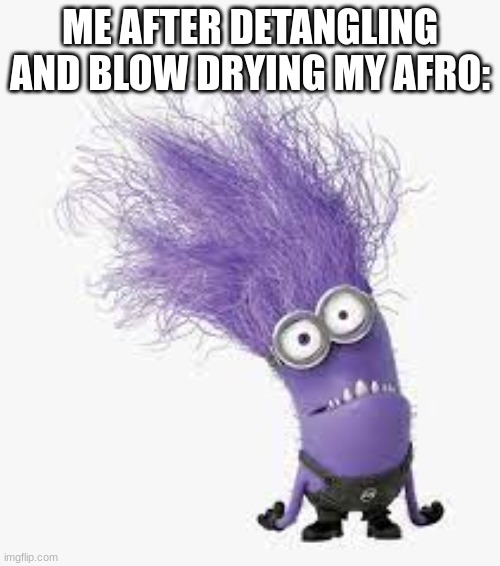 ME AFTER DETANGLING AND BLOW DRYING MY AFRO: | made w/ Imgflip meme maker