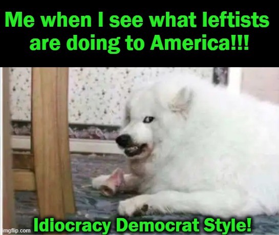 Crime UP, Border Invasion UP, Spending Our Tax Dollars UP, & CRAZY Definitely UP!! | Me when I see what leftists 
are doing to America!!! Idiocracy Democrat Style! | image tagged in politics,democrats,idiocracy,wtf,america last,sjws | made w/ Imgflip meme maker
