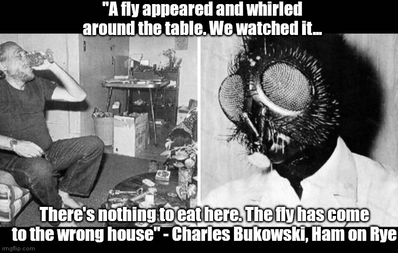 Fly and Ham On Rye | "A fly appeared and whirled around the table. We watched it... There's nothing to eat here. The fly has come to the wrong house" - Charles Bukowski, Ham on Rye | image tagged in the most interesting man in the world | made w/ Imgflip meme maker