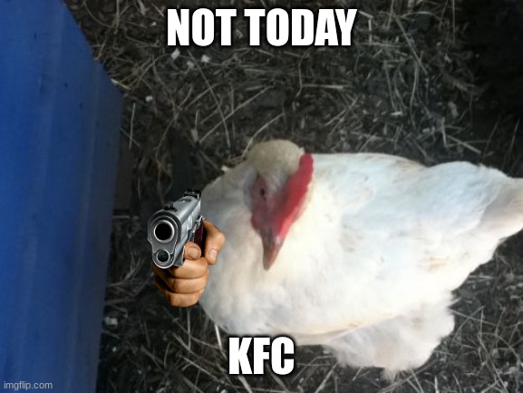 Angry Chicken Boss Meme | NOT TODAY KFC | image tagged in memes,angry chicken boss | made w/ Imgflip meme maker