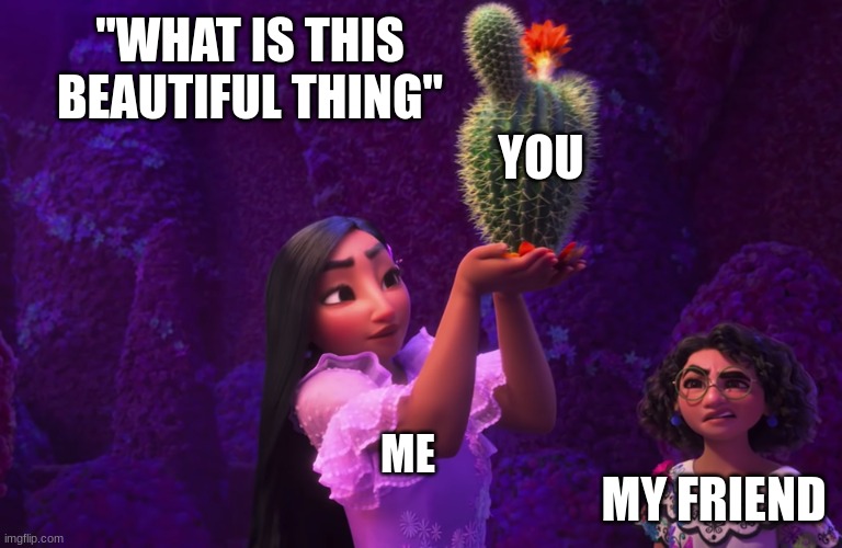 Mirabel and Isabella | "WHAT IS THIS BEAUTIFUL THING"; YOU; ME; MY FRIEND | image tagged in mirabel and isabella | made w/ Imgflip meme maker