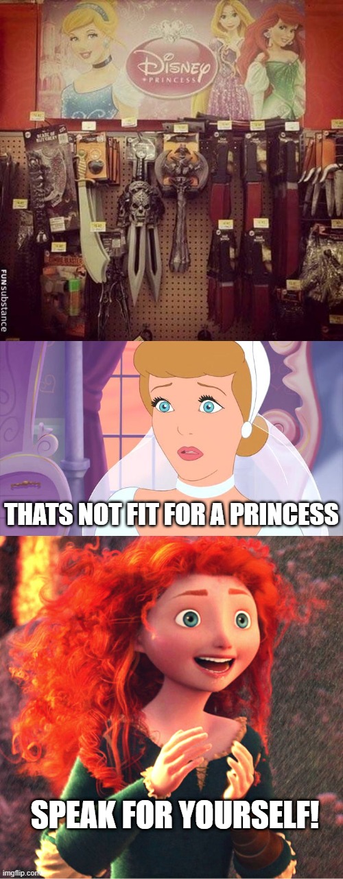 IT'S FIT FOR A SCOTTISH PRINCESS |  THATS NOT FIT FOR A PRINCESS; SPEAK FOR YOURSELF! | image tagged in disney princesses,weapons,cinderella,brave,merida brave | made w/ Imgflip meme maker