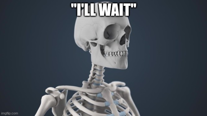 I'll wait. | "I'LL WAIT" | image tagged in waiting skeleton,skeleton | made w/ Imgflip meme maker