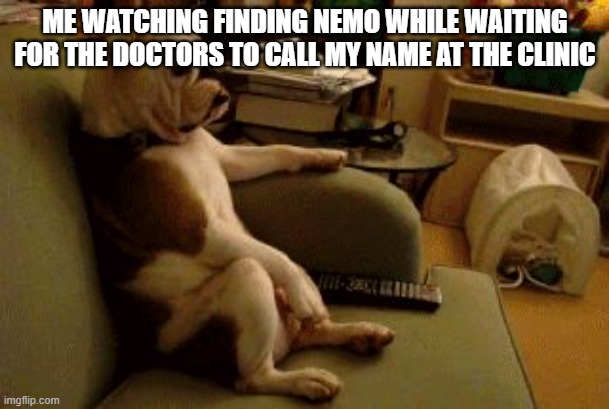 It's a stereotype isn't it? | ME WATCHING FINDING NEMO WHILE WAITING FOR THE DOCTORS TO CALL MY NAME AT THE CLINIC | image tagged in dog watching tv | made w/ Imgflip meme maker