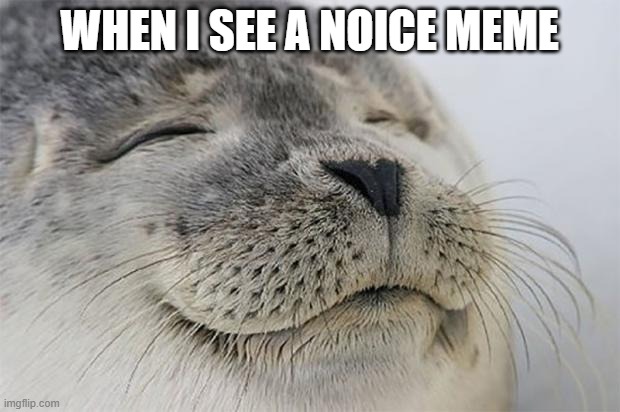 noice | WHEN I SEE A NOICE MEME | image tagged in memes,satisfied seal | made w/ Imgflip meme maker