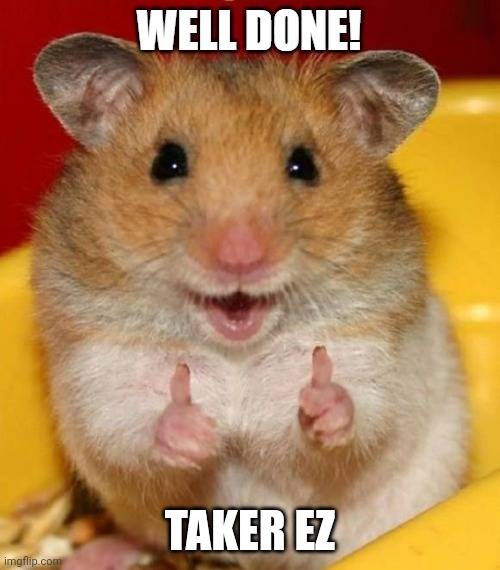 Well done | TAKER EZ | image tagged in well done | made w/ Imgflip meme maker
