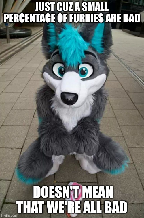Furry | JUST CUZ A SMALL PERCENTAGE OF FURRIES ARE BAD DOESN'T MEAN THAT WE'RE ALL BAD | image tagged in furry | made w/ Imgflip meme maker
