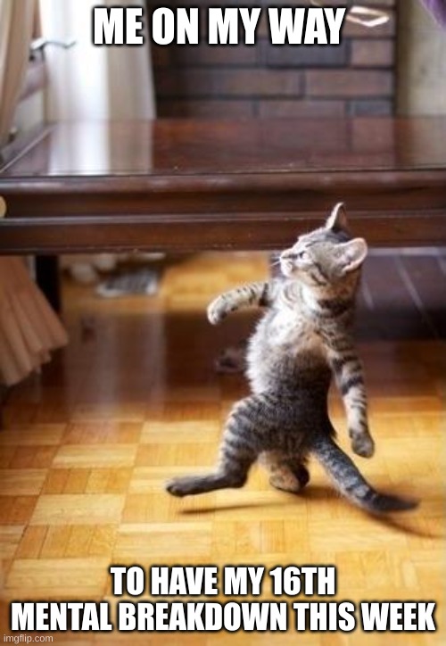Yepp | ME ON MY WAY; TO HAVE MY 16TH MENTAL BREAKDOWN THIS WEEK | image tagged in memes,cool cat stroll | made w/ Imgflip meme maker