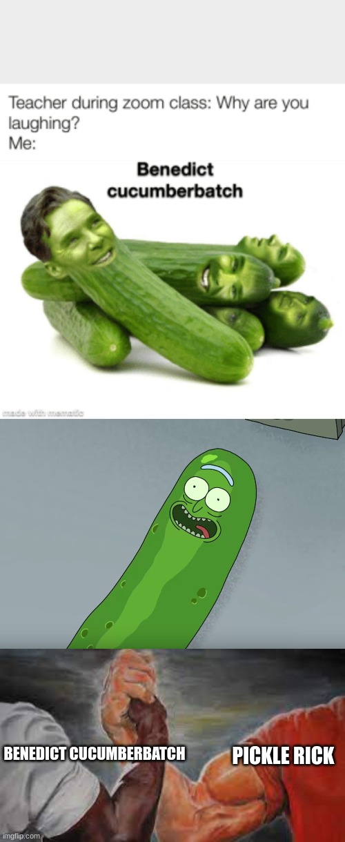 Bruh I can't  ? ? ? ? ? ? | PICKLE RICK; BENEDICT CUCUMBERBATCH | image tagged in funny memes | made w/ Imgflip meme maker