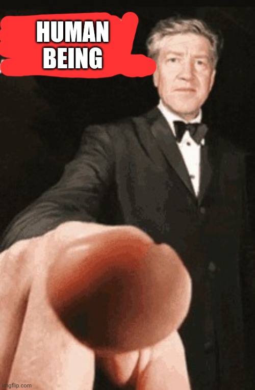 Shut up anime profile picture | HUMAN BEING | image tagged in shut up anime profile picture | made w/ Imgflip meme maker