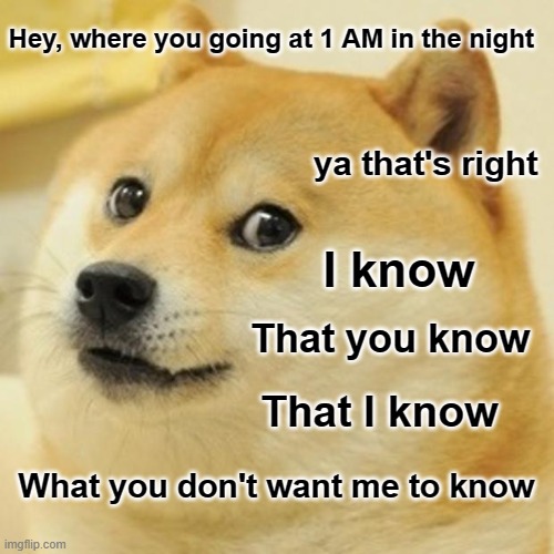 We know |  Hey, where you going at 1 AM in the night; ya that's right; I know; That you know; That I know; What you don't want me to know | image tagged in memes,funny memes,dogs,doge,i know | made w/ Imgflip meme maker