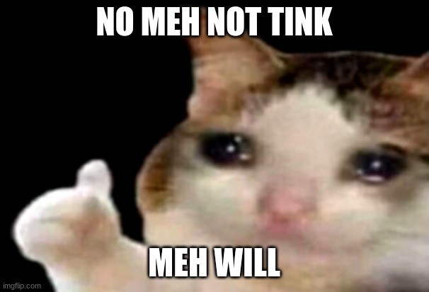 Sad cat thumbs up | NO MEH NOT TINK MEH WILL | image tagged in sad cat thumbs up | made w/ Imgflip meme maker