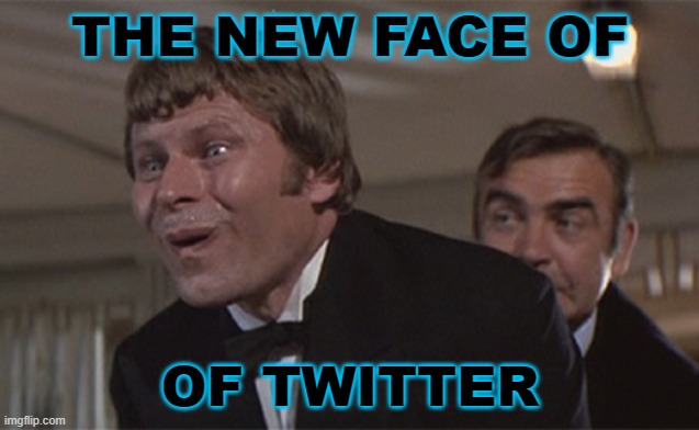 The New Face of Twitter | THE NEW FACE OF; OF TWITTER | image tagged in that feel when tfw or tfw | made w/ Imgflip meme maker