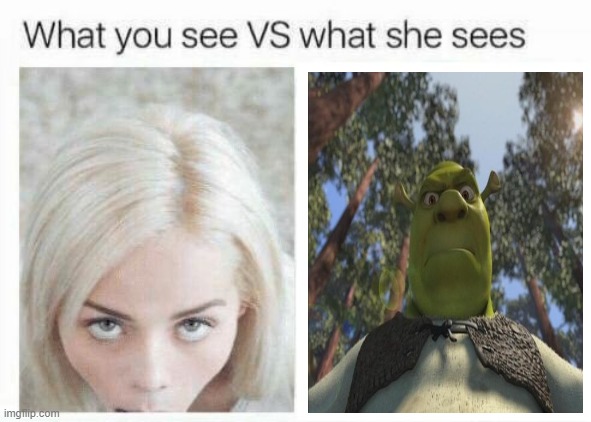 What you see vs what she sees | image tagged in what you see vs what she sees | made w/ Imgflip meme maker