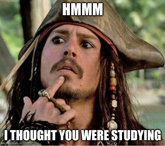 Smh | HMMM; I THOUGHT YOU WERE STUDYING | image tagged in gives pause pirate,studying | made w/ Imgflip meme maker