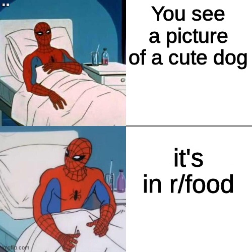 Spiderman getting out of bed | You see a picture of a cute dog; it's in r/food | image tagged in spiderman getting out of bed,hold up | made w/ Imgflip meme maker