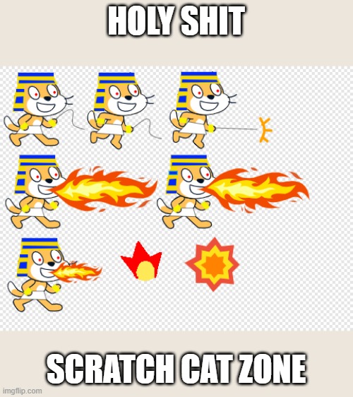 HOLY SHIT; SCRATCH CAT ZONE | made w/ Imgflip meme maker