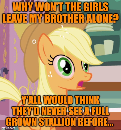 WHY WON'T THE GIRLS LEAVE MY BROTHER ALONE? Y'ALL WOULD THINK THEY'D NEVER SEE A FULL GROWN STALLION BEFORE... | made w/ Imgflip meme maker