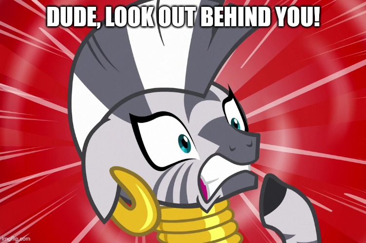 Shocked Zecora (MLP) | DUDE, LOOK OUT BEHIND YOU! | image tagged in shocked zecora mlp | made w/ Imgflip meme maker