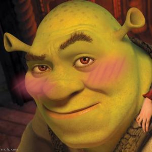 Shrek Sexy Face | image tagged in shrek sexy face | made w/ Imgflip meme maker