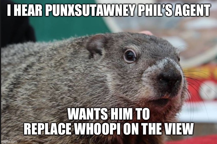 From famed meteorologist to talk show host | I HEAR PUNXSUTAWNEY PHIL’S AGENT; WANTS HIM TO REPLACE WHOOPI ON THE VIEW | image tagged in punxsutawney phil dice,whoopi,the view | made w/ Imgflip meme maker