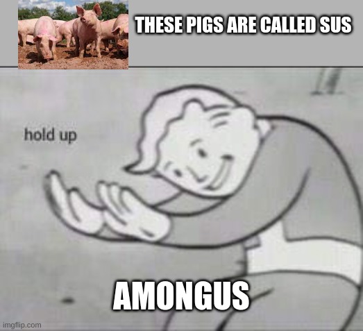 hold up | THESE PIGS ARE CALLED SUS; AMONGUS | image tagged in fallout hold up,what | made w/ Imgflip meme maker