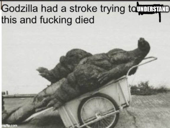 Godzilla | UNDERSTAND | image tagged in godzilla | made w/ Imgflip meme maker