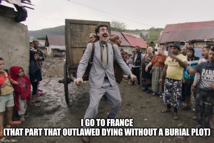 i hate flat stanley | I GO TO FRANCE
(THAT PART THAT OUTLAWED DYING WITHOUT A BURIAL PLOT) | image tagged in borat i go to america | made w/ Imgflip meme maker