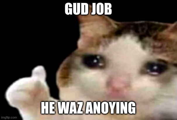 Sad cat thumbs up | GUD JOB HE WAZ ANOYING | image tagged in sad cat thumbs up | made w/ Imgflip meme maker