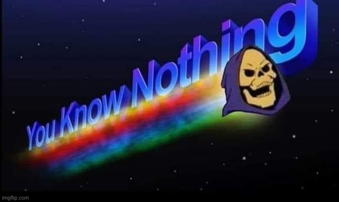 Skeletor You know nothing | image tagged in skeletor you know nothing | made w/ Imgflip meme maker