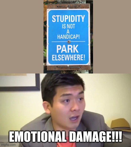 EMOTIONAL DAMAGE | EMOTIONAL DAMAGE!!! | image tagged in emotional damage,memes | made w/ Imgflip meme maker