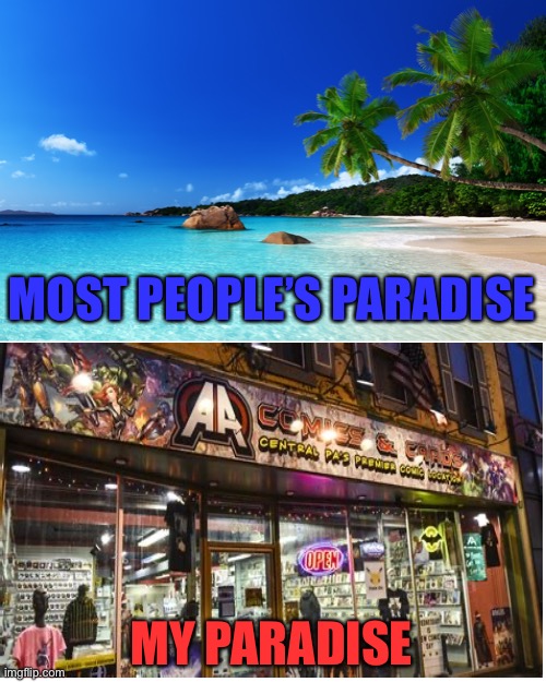 I love a good comic shop | MOST PEOPLE’S PARADISE; MY PARADISE | image tagged in paradise,comic shop,people vs me | made w/ Imgflip meme maker