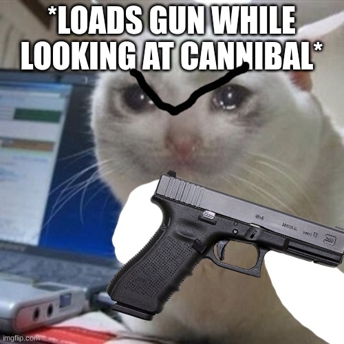 Crying cat | *LOADS GUN WHILE LOOKING AT CANNIBAL* | image tagged in crying cat | made w/ Imgflip meme maker