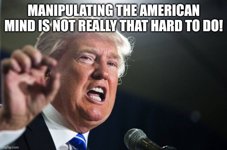 donald trump | MANIPULATING THE AMERICAN MIND IS NOT REALLY THAT HARD TO DO! | image tagged in donald trump | made w/ Imgflip meme maker