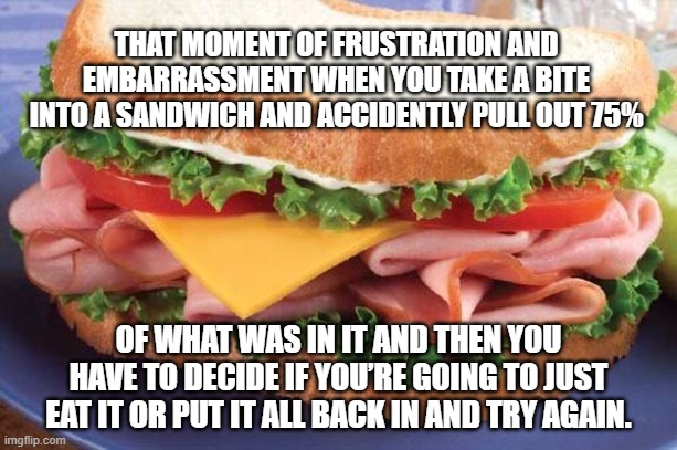 Even sandwiches can prank you TT | THAT MOMENT OF FRUSTRATION AND EMBARRASSMENT WHEN YOU TAKE A BITE INTO A SANDWICH AND ACCIDENTLY PULL OUT 75%; OF WHAT WAS IN IT AND THEN YOU HAVE TO DECIDE IF YOU’RE GOING TO JUST EAT IT OR PUT IT ALL BACK IN AND TRY AGAIN. | image tagged in sandwich | made w/ Imgflip meme maker