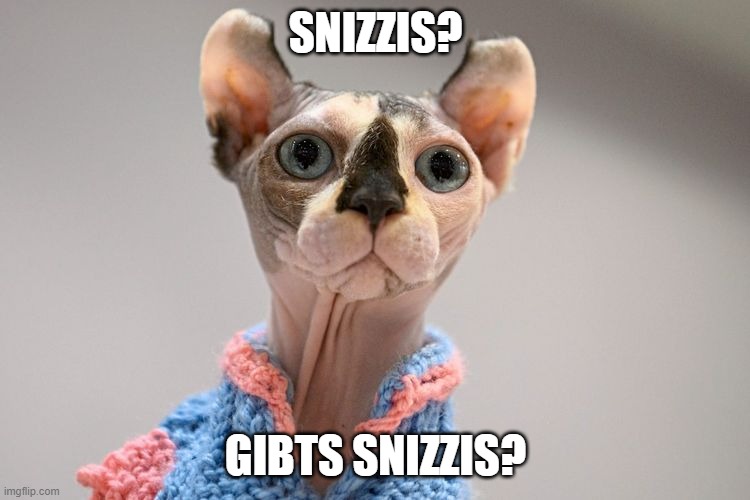 SNIZZIS? GIBTS SNIZZIS? | made w/ Imgflip meme maker