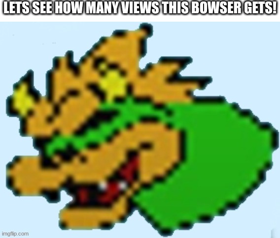 LETS SEE HOW MANY VIEWS THIS BOWSER GETS! | image tagged in bowser,bowser jr,hotel,mario,hotel mario,what is love | made w/ Imgflip meme maker