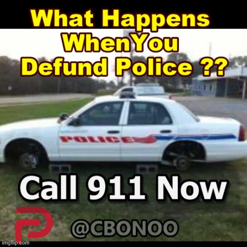 what happens when you defund police | image tagged in what happens when you defund police | made w/ Imgflip meme maker