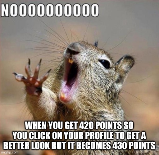 recently happened to me except 29420 points to 29440 | WHEN YOU GET 420 POINTS SO YOU CLICK ON YOUR PROFILE TO GET A BETTER LOOK BUT IT BECOMES 430 POINTS | image tagged in noooooooooooooooooooooooo | made w/ Imgflip meme maker