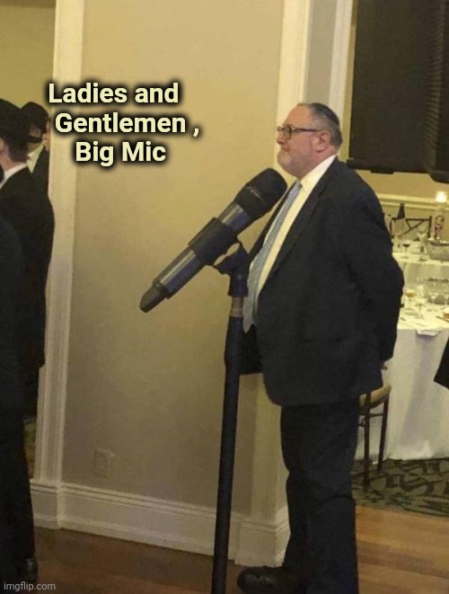 Please allow me to introduce myself | Ladies and 
      Gentlemen ,
         Big Mic | image tagged in too much,too soon,mike,mic drop | made w/ Imgflip meme maker