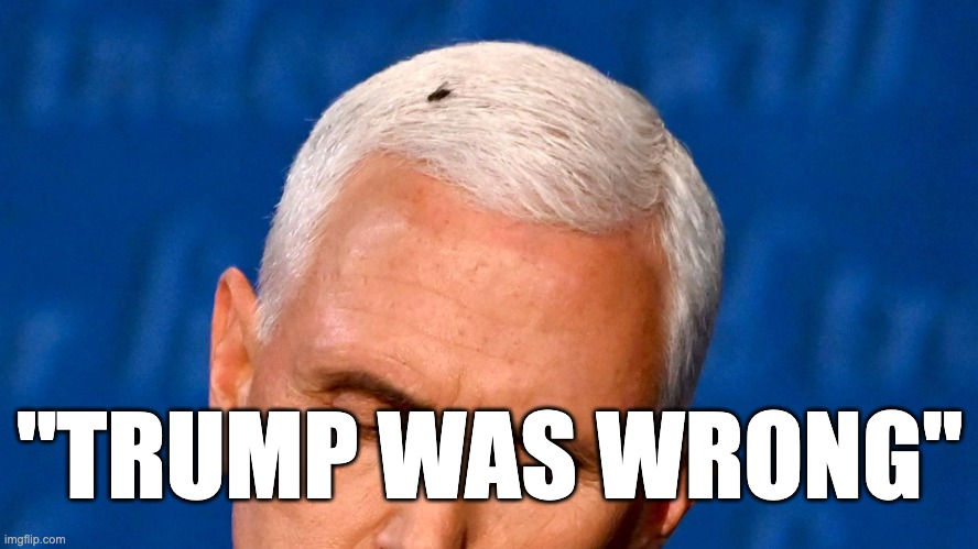 Pence Fly | "TRUMP WAS WRONG" | image tagged in pence fly | made w/ Imgflip meme maker
