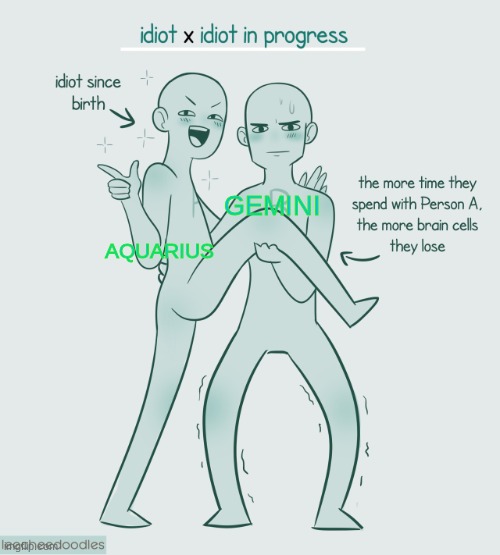 so funnn | GEMINI; AQUARIUS | image tagged in so funnn,zodiac,ship dynamics | made w/ Imgflip meme maker