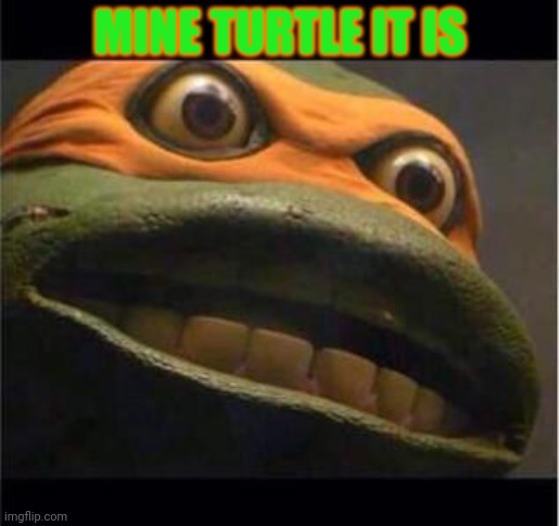 teen age mutant ninja turtle | MINE TURTLE IT IS | image tagged in teen age mutant ninja turtle | made w/ Imgflip meme maker