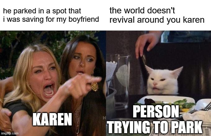 IM TRYIN TO PARK | he parked in a spot that i was saving for my boyfriend; the world doesn't revival around you karen; KAREN; PERSON TRYING TO PARK | image tagged in memes,woman yelling at cat | made w/ Imgflip meme maker