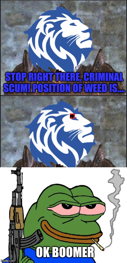 STOP RIGHT THERE, CRIMINAL SCUM! POSITION OF WEED IS.... OK BOOMER | image tagged in oblivion guard,pepe with gun | made w/ Imgflip meme maker