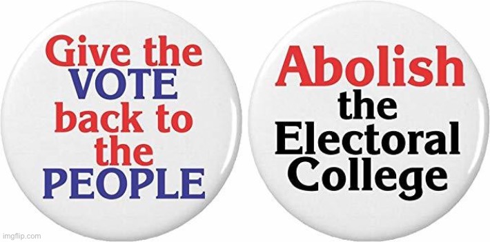 Abolish the Electoral College | image tagged in abolish the electoral college | made w/ Imgflip meme maker