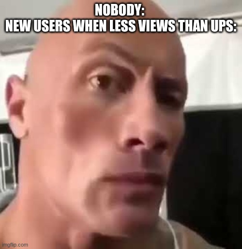 new users be like | NOBODY: 
NEW USERS WHEN LESS VIEWS THAN UPS: | image tagged in the rock eyebrows,imgflip users | made w/ Imgflip meme maker