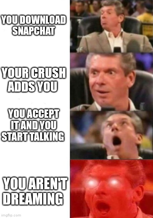 Definitely didn't happen to me | YOU DOWNLOAD SNAPCHAT; YOUR CRUSH ADDS YOU; YOU ACCEPT IT AND YOU START TALKING; YOU AREN'T DREAMING | image tagged in mr mcmahon reaction | made w/ Imgflip meme maker